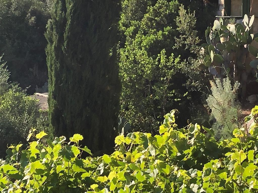 Vistalago Garden Doria Monteleone Rocca Doria エクステリア 写真