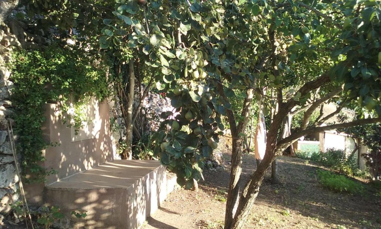 Vistalago Garden Doria Monteleone Rocca Doria エクステリア 写真